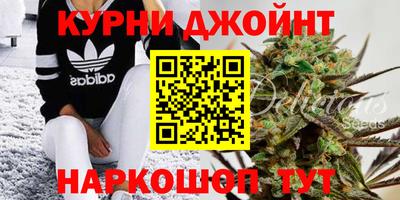 jwh Славгород