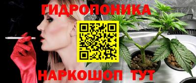 jwh Славгород