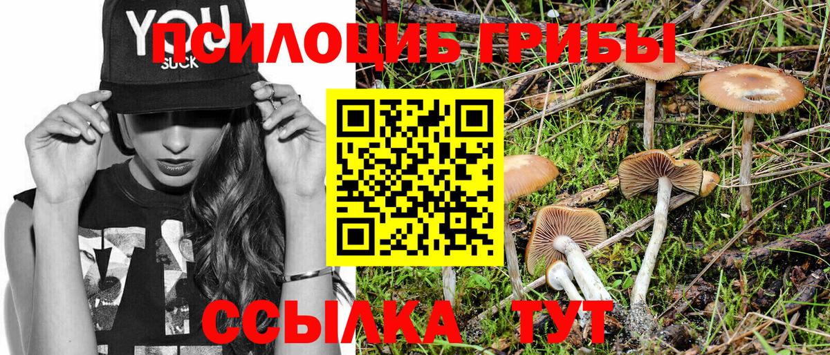Псилоцибиновые грибы мицелий  Вход с VPN  Асбест 
